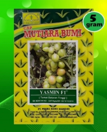 Benih Tomat Buah Hibrida YASMIN F1 5 Gram Cap Mutiara