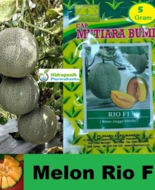 Cap Mutiara Bumi Melon RIO F1 Hibrida
