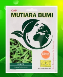 BENIH KANGKUNG DAUN SEMPIT