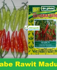 BENIH CABE CABAI RAWIT PUTIH MADUN ISI 50 GRAM