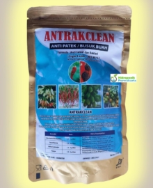 Fungisida ANTRAKCLEAN Basmi Patek Antraknosa