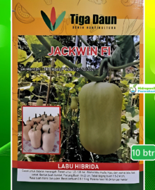 Benih Labu Butternut Pumpkin JACKWIN Isi 10 Biji Tiga Daun