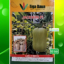 Benih Labu Butternut Pumpkin JACKWIN Isi 10 Biji Tiga Daun