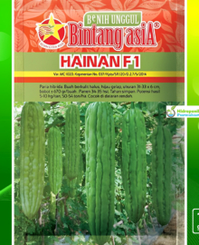 Benih Paria Pare Hibrida HAINAN F1 Isi 10 Gram Cap Bintang Asia