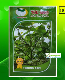Benih Terong APEL Tipe Lalap Lalab 10 Gram Cap You Seed