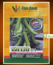 Benih Terong Hijau Hibrida WITJO F1 10 gram Cap Tiga Daun