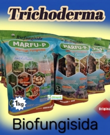 Bio Fungisida Organik Trichoderma MARFU P Isi 1 Kg