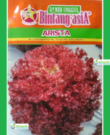 BENIH LETTUCE SELADA MERAH ARISTA ISI 10 GRAM CAP BINTANG ASIA