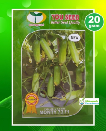 Benih Timun Lalap MONTY 73 F1 20 Gram