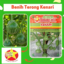 Benih Terong KENARI 10 Gram Cap Bintang Asia