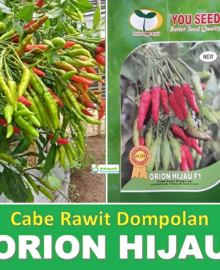 Benih Cabe Cabai Rawit Dompolan Hijau ORION HIJAU 10 Gram