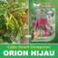 Benih Cabe Cabai Rawit Dompolan Hijau ORION HIJAU 10 Gram