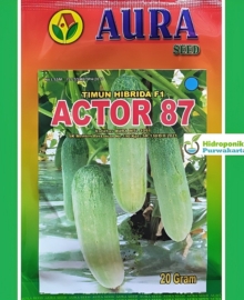 Benih Timun Hibrida ACTOR 87 F1 Cap Aura Seed Isi 20 Gram