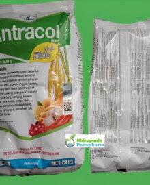 Antracol 70 WP Fungisida Jamur Tanaman PT Bayer Indonesia
