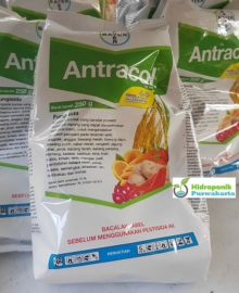 Antracol 70 WP Fungisida Jamur Tanaman PT Bayer Indonesia 250 Gram