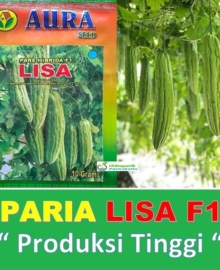 Benih Paria Hijau Hibrida LISA F1 Isi 10 gram Cap Aura Seed