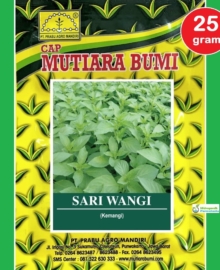 Benih Kemangi Basil SARI WANGI 25 Gram Cap Mutiara Bumi