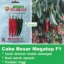 Benih Cabai Cabe Besar MEGATOP F1 1 Gram Cap Bintang Asia PT Benih Citra Asia