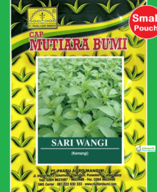 Benih Kemangi Basil SARI WANGI Kemasan Urban Farming