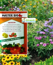 Pupuk Bunga Buah MASTER BIG Masa Pembungaan Pembuahan Isi 60 gram