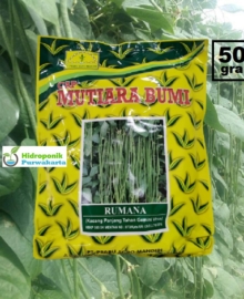 Benih Kacang Panjang Tavi RUMANA 500 GRAM TAHAN VIRUS