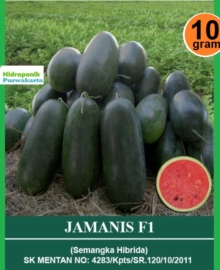 BENIH SEMANGKA INUL JAMANIS F1 10 GRAM DAGING MERAH