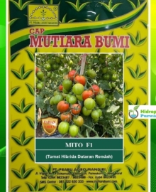 Benih Tomat Hibrida MITO F1 Cap Mutiara Bumi 1750 butir
