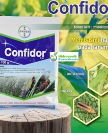 Confidor 5 WP Insektisida Pembasmi Belalang Kutu Serangga