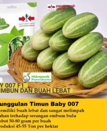 Benih Timun Mentimun BABY 007 F1 Cap Panah Merah Isi 50 Butir