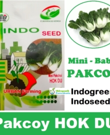 Benih Baby Pakcoy Mini Pakcoy HOK DU Indogreen Indoseed 300 Butir